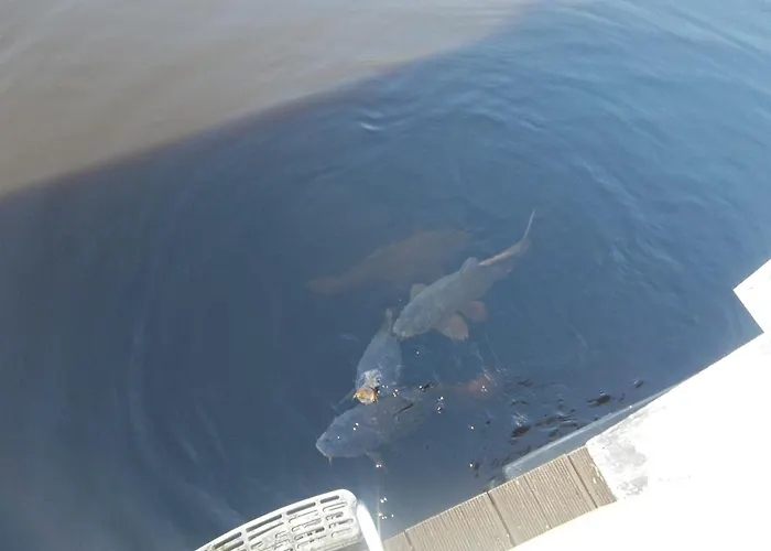 Bådhotel Flottant Sur Et *